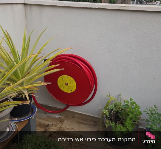 גלגלת כיבוי אש על קיר עם צמחים מסביב